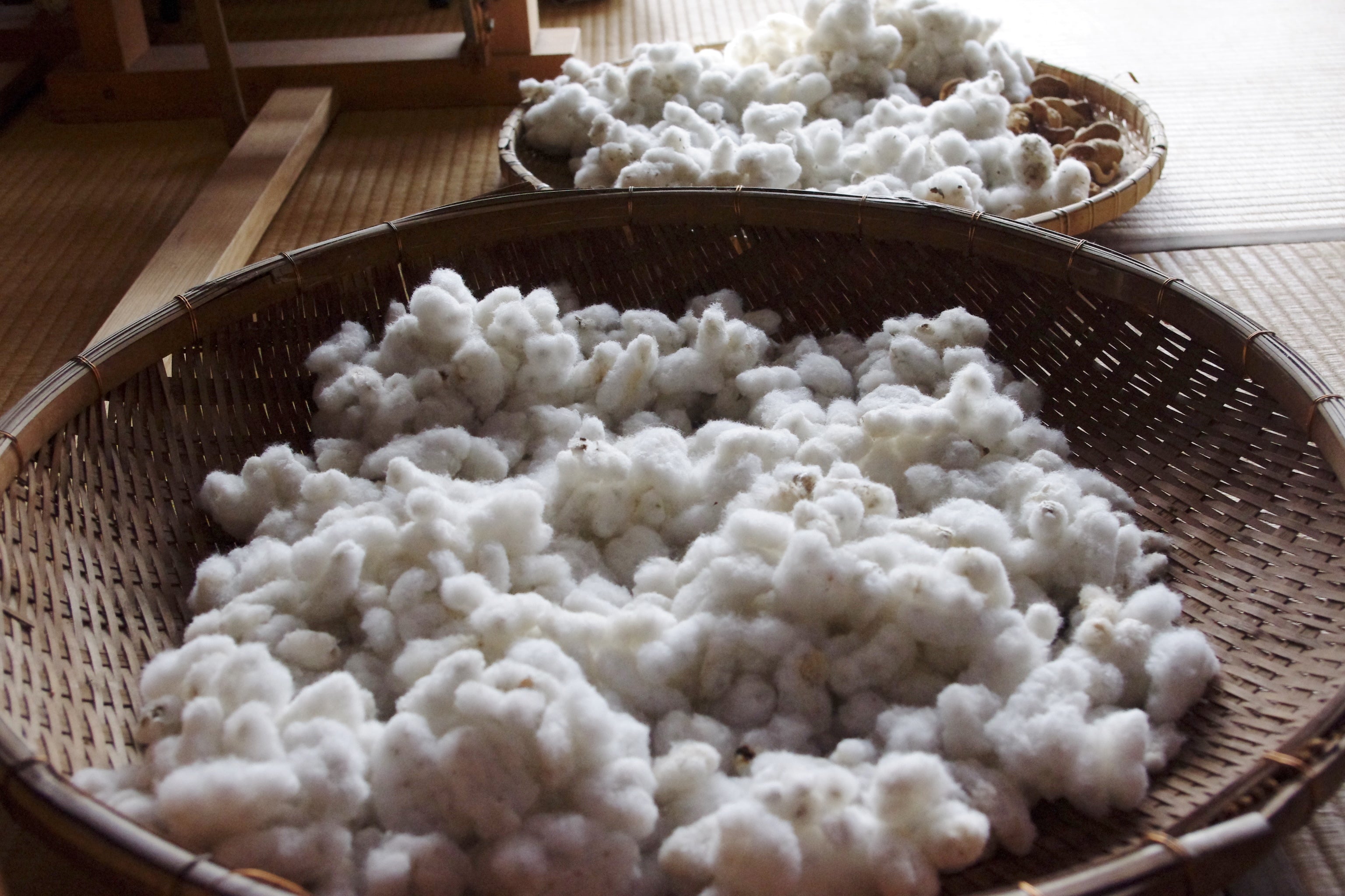 ふわふわとした触り心地、綿の優しい香り、それが和綿の特徴です。弊社では、オーガニックコットンを国内で栽培し、徹底的に無農薬で育てています。私たちは環境にやさしい栽培方法を採用し、土壌や水源を守りながら、豊かな自然の力だけで和綿を作り上げています。身につける方々に安心と快適さを提供するために、品質にこだわり繊細な糸を丹念に紡ぎ上げています。ぜひ、和綿の魅力をご体感ください。わたから わたからつむぐ マインド松井 日本の綿 わた 和綿 綿 和綿とは コットン コットンとは コットン１００％ オーガニックコットン 日用品 商品 無農薬 わめん 育て方 種類 洋綿 綿花 エコ エシカル エシカル商品 サスティナブル 糸紡ぎ 収穫 特徴 綿摘み 種 販売 豊か 暮らし 豊かな暮らし 生活 ガラ紡 コットン 生地 おすすめ 収穫 国産和綿 国産の綿 国産 生産地 自社畑 生地 岐阜 熊本 綿 わた コットン オーガニックコットン 綿１００％　コットン１００％　オーガニックコットン１００％ 綿 わた コットン オーガニックコットン 綿１００％　コットン１００％　オーガニックコットン１００％