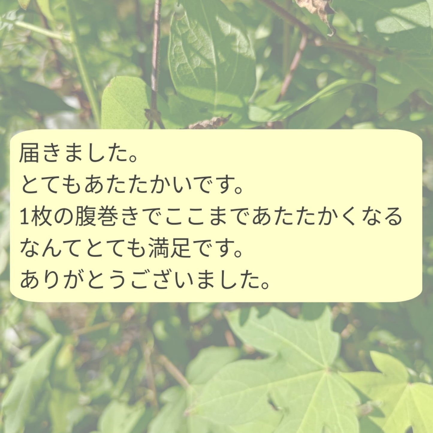 【人気NO2】 伸びが良く柔らかいボディウォーマー 和綿糸から開発した腹巻