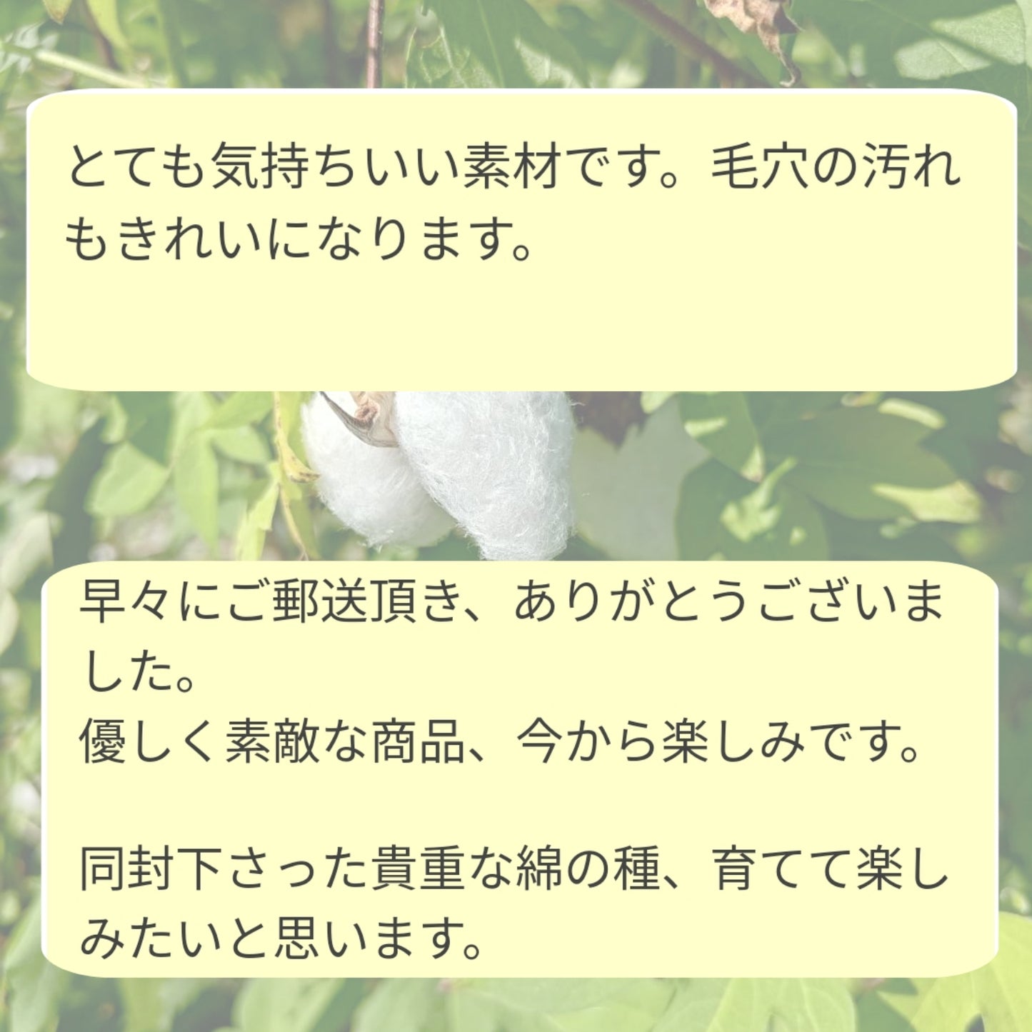 【人気】小さなお顔洗い 小鼻 耳 口腔ケア 石けんを使わない洗顔 赤ちゃんにも優しいケア わたからつむぐ