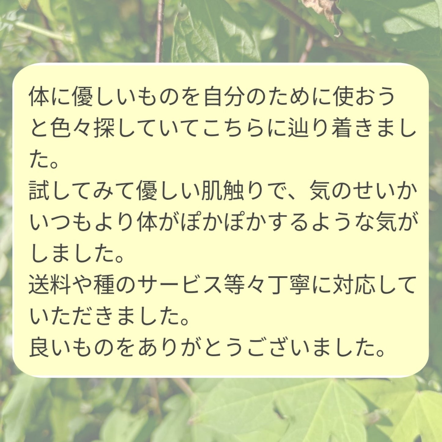 【人気】小さなお顔洗い 小鼻 耳 口腔ケア 石けんを使わない洗顔 赤ちゃんにも優しいケア わたからつむぐ