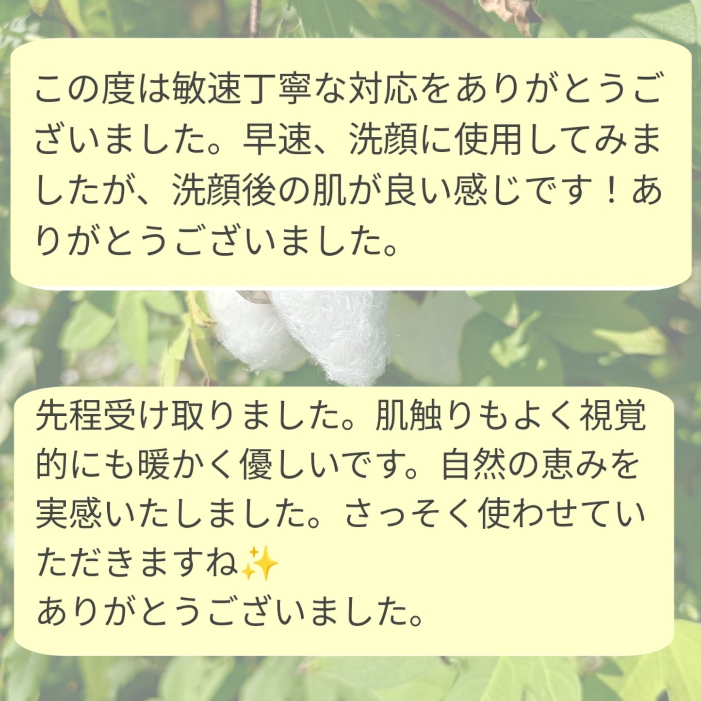【人気】小さなお顔洗い 小鼻 耳 口腔ケア 石けんを使わない洗顔 赤ちゃんにも優しいケア わたからつむぐ
