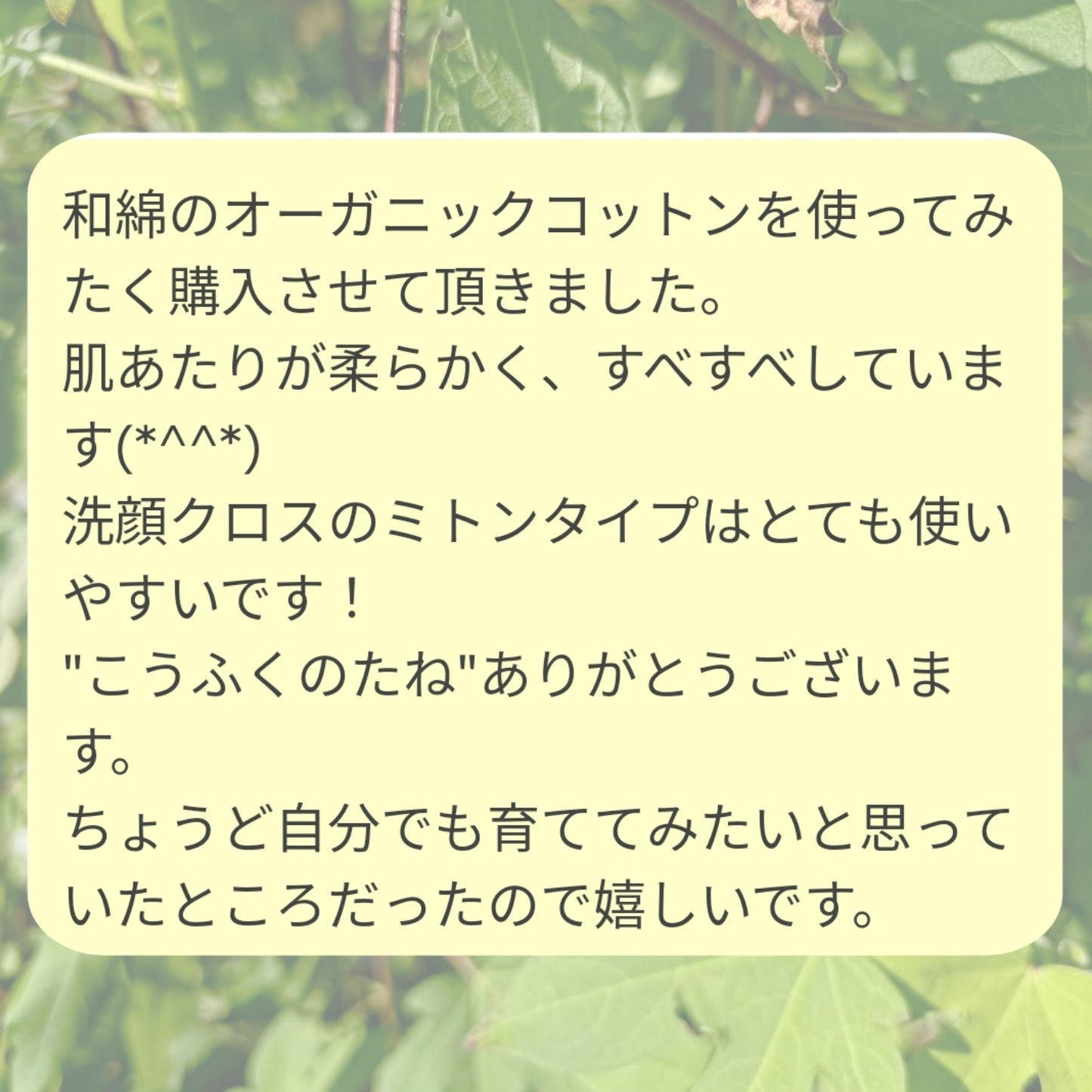 【人気】小さなお顔洗い 小鼻 耳 口腔ケア 石けんを使わない洗顔 赤ちゃんにも優しいケア わたからつむぐ