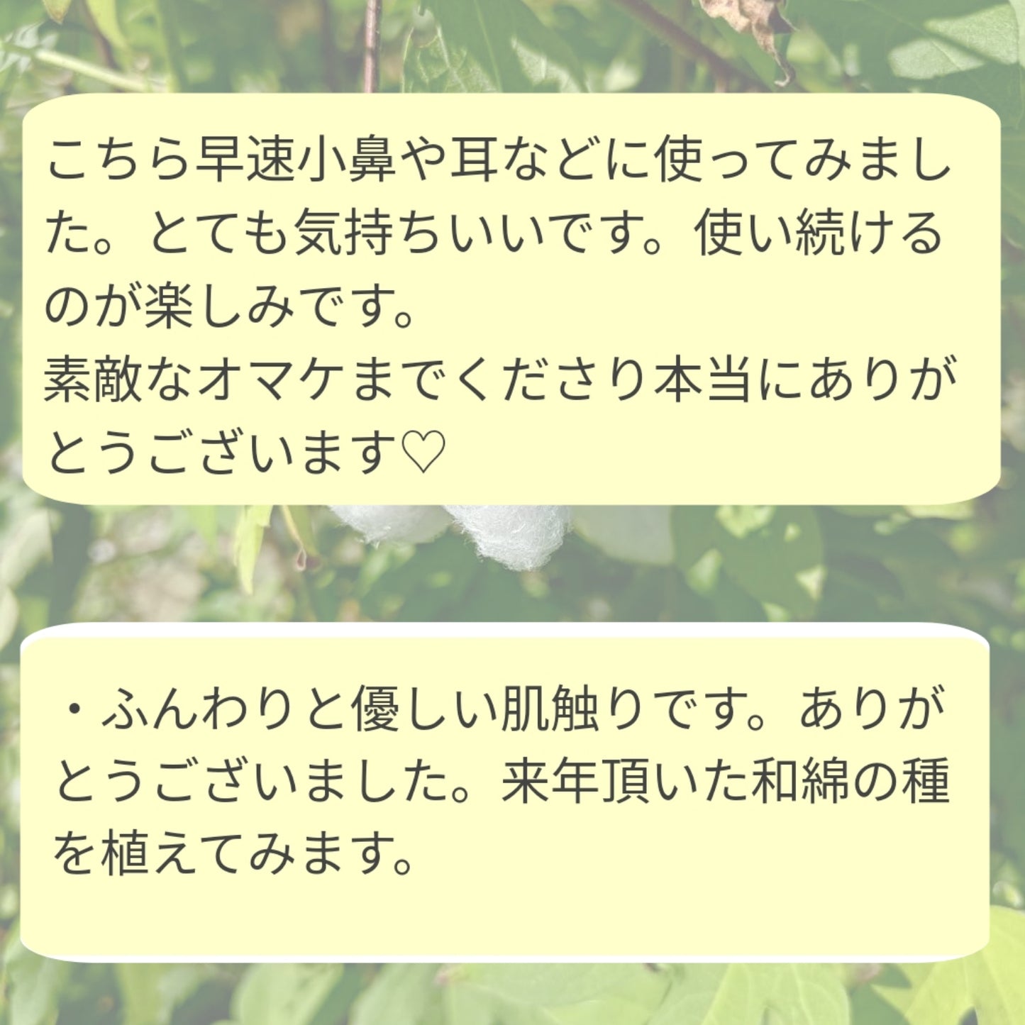【人気】小さなお顔洗い 小鼻 耳 口腔ケア 石けんを使わない洗顔 赤ちゃんにも優しいケア わたからつむぐ