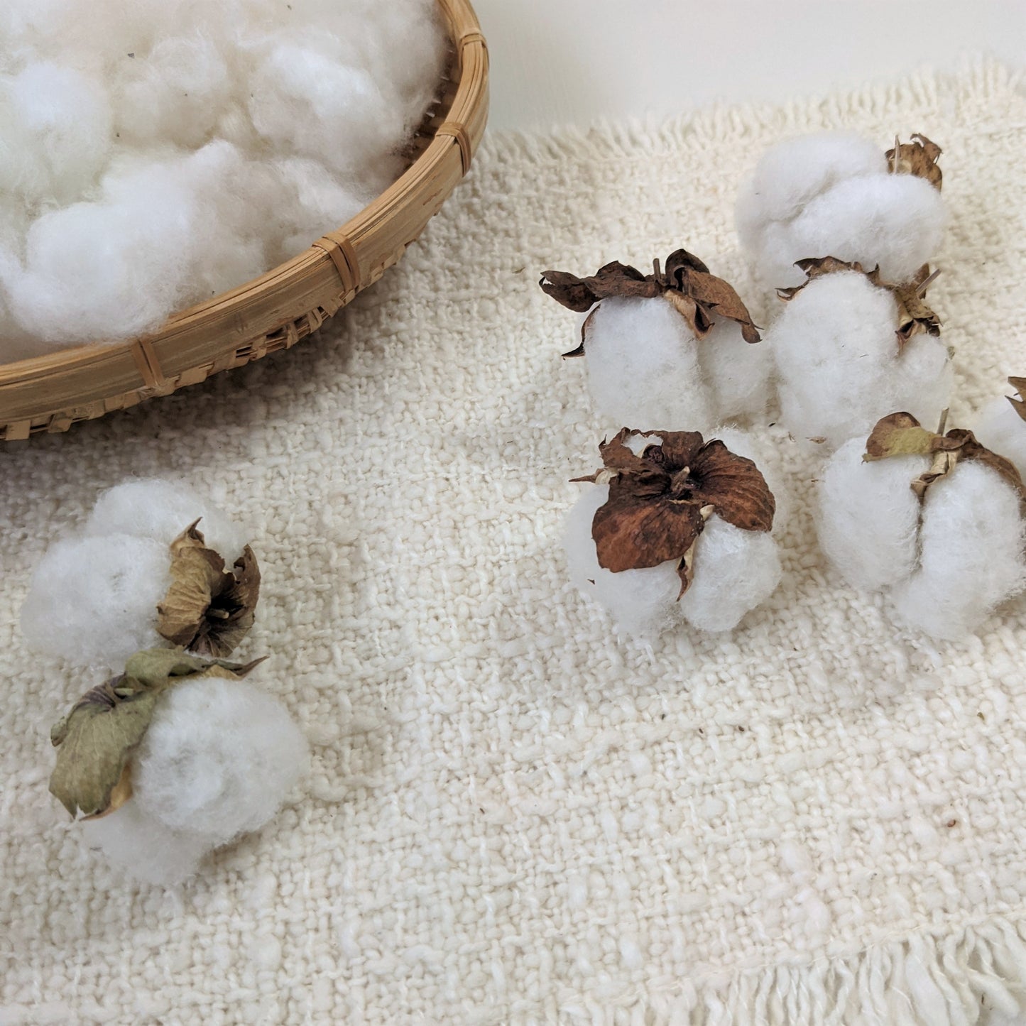 「わたからつむぐ」のコットン製品は、自給率0%の国産綿を自社栽培し、無農薬で安心できる製品を製造販売しています。農薬ゼロのオーガニックコットン100%はお肌にやさしい素材ですので、敏感肌・アトピー・赤ちゃんなどにも安心安全です。人気の和綿でできた生活雑貨は、贈り物やギフトにもおすすめです。製造元「マインド松井」のオンラインショップでは和綿・オーガニックコットン100のシャツ・ストール・手ぬぐい・ハンカチ・肌着・靴下・タオル・ブランケット・ソックス・バスタオル・洗顔用品・腹巻き・寝具・レッグウォーマー・レディース用パジャマ・レギンス・ラグ・マット・ボディータオル・コースター・枕カバー・コットンボール・ルームシューズ等の生活雑貨、布ナプキン・おりものシート等の生理用品、赤ちゃん用のおむつ・おくるみ・スタイ・ロンパース等のベビー用品等を通販サイトで販売中。 売ってるところ インテリア雑貨 アパレル メーカー ネットショップ OEM供給 製造販売 国産コットン 熊本県 岐阜県 石鹸いらず 石鹸を使わない 肌にやさしい テーブル雑貨 オーガニックコットン 和綿 かぶれない 肌荒れ