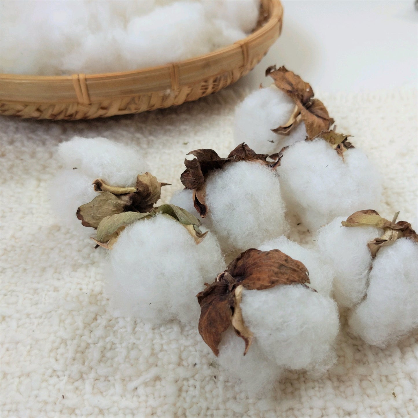 「わたからつむぐ」は、和綿(日本製オーガニックコットン100%)の生活雑貨・インテリア雑貨・コットンボール専門のオンラインショップです。オーガニックコットン(和綿)ふわふわとした触り心地、綿の優しい香り、それが和綿(日本製オーガニックコットン)の特徴であり人気の秘訣です。無農薬にこだわり、熊本県で豊かな自然の力だけ栽培している和綿なので、敏感肌やアトピーなど化学繊維が苦手な方々に安心安全です。和綿・オーガニックコットン100のシャツ・ストール・手ぬぐい・ハンカチ・肌着・靴下・タオル・ブランケット・ソックス・コットンボール・綿の種・腹巻き・寝具・レッグウォーマー・レディース用パジャマ・レギンス・ラグ・マット・枕カバー・ルームシューズ等の生活雑貨、布ナプキン・おりものシート等の生理用品、赤ちゃん用のおむつ・おくるみ・スタイ・ロンパース等のベビー用品等のネット通販サイト。オーガニックコットン100の生活雑貨は、贈り物やギフトにもおすすめです。