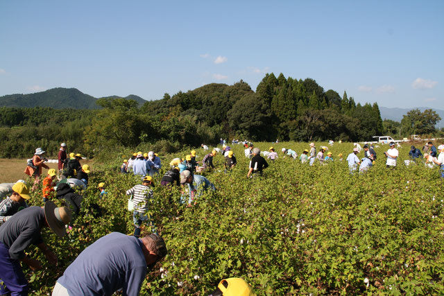 「わたからつむぐ」は、和綿(日本製オーガニックコットン100%)の生活雑貨・インテリア雑貨・コットンボール専門のオンラインショップです。オーガニックコットン(和綿)ふわふわとした触り心地、綿の優しい香り、それが和綿(日本製オーガニックコットン)の特徴であり人気の秘訣です。無農薬にこだわり、熊本県で豊かな自然の力だけ栽培している和綿なので、敏感肌やアトピーなど化学繊維が苦手な方々に安心安全です。和綿・オーガニックコットン100のシャツ・ストール・手ぬぐい・ハンカチ・肌着・靴下・タオル・ブランケット・ソックス・腹巻き・寝具・レッグウォーマー・レディース用パジャマ・レギンス・ラグ・マット・枕カバー・ルームシューズ等の生活雑貨、布ナプキン・おりものシート等の生理用品、赤ちゃん用のおむつ・おくるみ・スタイ・ロンパース等のベビー用品等のネット通販サイト。オーガニックコットン100の生活雑貨は、贈り物やギフトにもおすすめです。