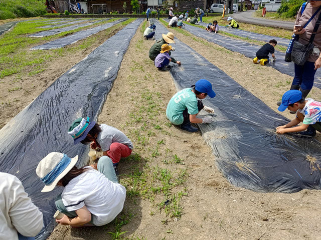 「わたからつむぐ」は、和綿（日本製オーガニックコットン100％）の生活雑貨・インテリア雑貨・コットンボール専門のオンラインショップです。オーガニックコットン(和綿)ふわふわとした触り心地、綿の優しい香り、それが和綿(日本製オーガニックコットン)の特徴であり人気の秘訣です。無農薬にこだわり、熊本県で豊かな自然の力だけ栽培している和綿なので、敏感肌やアトピーなど化学繊維が苦手な方々に安心安全です。和綿・オーガニックコットン100のシャツ・ストール・手ぬぐい・ハンカチ・肌着・靴下・タオル・ブランケット・ソックス・コットンボール・綿の種・腹巻き・寝具・レッグウォーマー・レディース用パジャマ・レギンス・ラグ・マット・枕カバー・ルームシューズ等の生活雑貨、布ナプキン・おりものシート等の生理用品、赤ちゃん用のおむつ・おくるみ・スタイ・ロンパース等のベビー用品等のネット通販サイト。オーガニックコットン100の生活雑貨は、贈り物やギフトにもおすすめです。