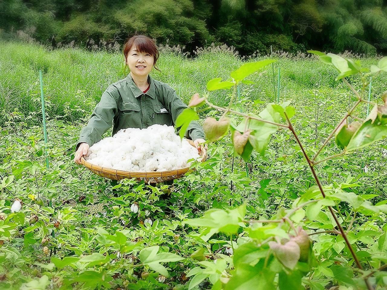 「わたからつむぐ」は、和綿（日本製オーガニックコットン100％）の生活雑貨・インテリア雑貨・コットンボール専門のオンラインショップです。オーガニックコットン(和綿)ふわふわとした触り心地、綿の優しい香り、それが和綿(日本製オーガニックコットン)の特徴であり人気の秘訣です。無農薬にこだわり、熊本県で豊かな自然の力だけ栽培している和綿なので、敏感肌やアトピーなど化学繊維が苦手な方々に安心安全です。和綿・オーガニックコットン100のシャツ・ストール・手ぬぐい・ハンカチ・肌着・靴下・タオル・ブランケット・ソックス・腹巻き・寝具・レッグウォーマー・レディース用パジャマ・レギンス・ラグ・マット・枕カバー・ルームシューズ等の生活雑貨、布ナプキン・おりものシート等の生理用品、赤ちゃん用のおむつ・おくるみ・スタイ・ロンパース等のベビー用品等のネット通販サイト。オーガニックコットン100の生活雑貨は、贈り物やギフトにもおすすめです。